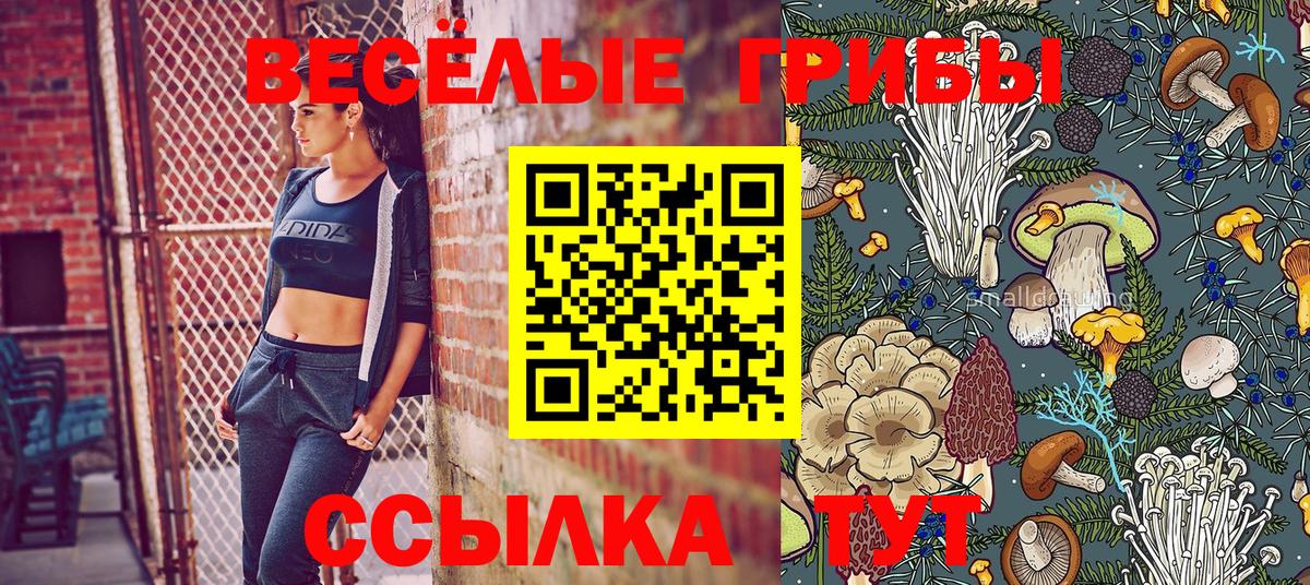 Галлюциногенные грибы Cubensis Зима